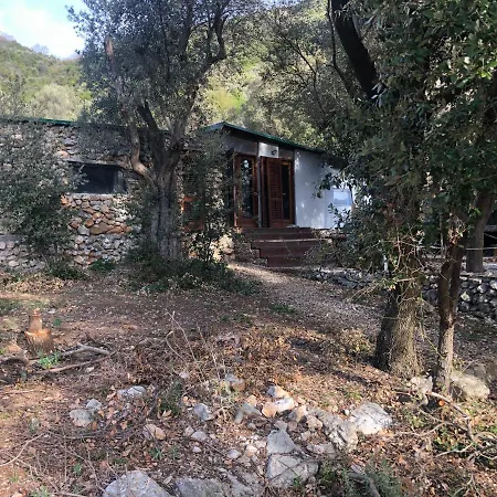 Cres Robinson Experience Lodge *